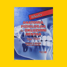 Anatomija,Fiziologjia dhe okluzioni dentar