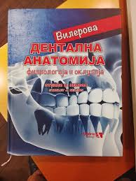 Дентална Анатомија Физиологија и Оклузија